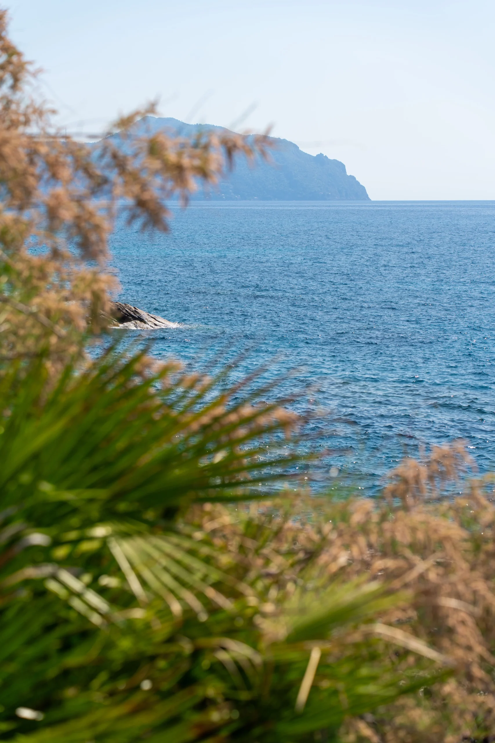 Vista su Nervi, Genova