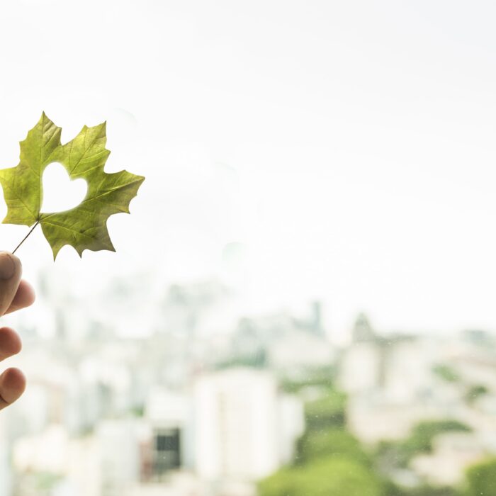 sostenibilità alberghiera e certificazioni ambientali per green hotel
