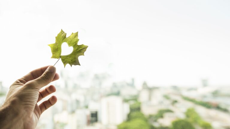 sostenibilità alberghiera e certificazioni ambientali per green hotel